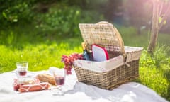 Picnic on grass with wine, grapes, sausage, cheese, bread