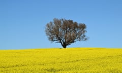 Canola farmers will have to stop using omethoate to control red-legged earth mites if they want to sell into the European market.