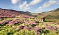 The Spittal of Glenshe covered in purple heather.