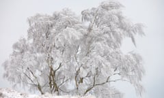 A frosted birch tree, Blacka Moor, South Yorkshire