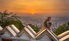 Sunrise over the Swayambhunath temple, with monkey on ramparts.