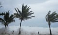 Wind passes through palm trees