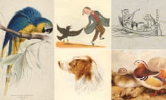 Edward Lear artwork