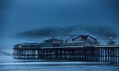 A murmuration of starlings over Blackpool’s north pier