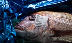 Seafood from Fukushima Prefecture is seen at Hamanoeki Fish Market and Food Court