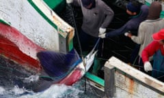 sailfish Taiwanese fishing vessel Pacific island Palau