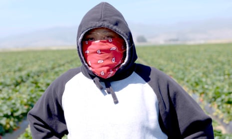 Working nights to pack your California strawberries, working days to graduate from school – video