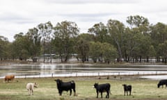Flood waters north of Bendigo, Victoria