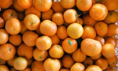 Pile of clementines, citrus fruit,  in Calabria, Italy. 

The dark side of the orange harvest, seasonal agricultural work in Italy.