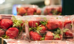 Strawberry punnets