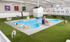 This undated artist rendering provided by Classic Communications courtesy of ARK Development depicts Paradise 4 Paws, a holding area for dogs in a new luxury terminal at New York's John F. Kennedy International Airport.  The privately owned ARK, as it's called, will handle the more than 70,000 animals that pass through JFK each year, including dogs, cats, horses, cows, birds, sloths and aardvarks. It will sit on the site of an unused cargo terminal leased from the Port Authority of New York and New Jersey that runs the airport. (Classic Communications courtesy of ARK Development via AP)