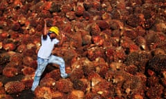 A worker collects palm oil fruit inside a palm oil factory in near Kuala Lumpur.
