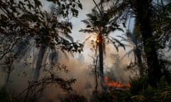 Fire and haze engulfs a forest Riau province in Indonesia