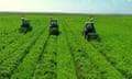 Future of Three tractors with Egyptian flags ploughing lush green fields.  project, Egypt's 'Future Project for Agricultural Production' comprises more than a million feddans, which represents around 50 percent of the New Delta project.