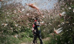 A farmer tries to chase away a swarm of desert locusts in the bush near Enziu, Kitui county, Kenya, on 24 January.