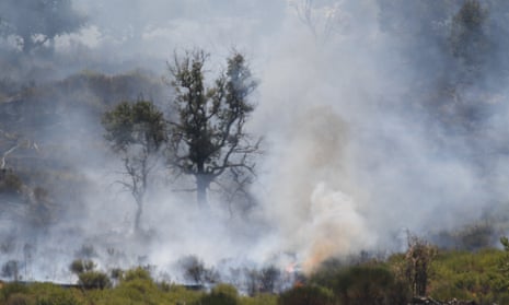 Temperatures have reached record heights in southern Italy, which has been badly hit by wildfires. Climate scientists say there is little doubt that climate change is driving extreme weather events.