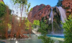 canyon with waterfall above a body of water surrounded by branches and green bushes