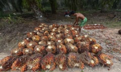 A palm plantation worker in Riau province