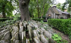 The Hardy tree in the graveyard of Old St Pancras in London.