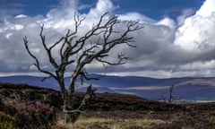 Far Ralia estate, Newtonmore, Cairngorms.