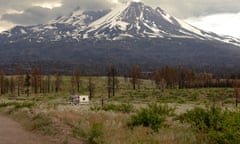 One of many burn scars along the Volcanic Legacy Scenic Byway where lush greenery has begun to take root underneath blackened trees.