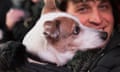 January Midnight Moment Concert For Dogs: Heart Of A Dog By Laurie Anderson<br>NEW YORK, NY - JANUARY 04:  General view of atmosphere at the January Midnight Moment concert for dogs: Heart Of a Dog by Laurie Anderson at Duffy Square on January 4, 2016 in New York City.  (Photo by Noam Galai/Getty Images)