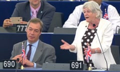 Ann Widdecombe gives a speech to the European parliament alongside the Brexit party leader Nigel Farage.