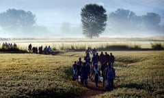 Syrian refugees and migrants walk in a field to cross the border between Greece and F.Y.R. of Macedonia
