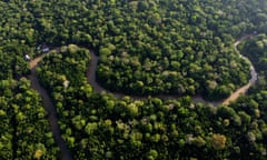 Forest near Belém, Brazil, where international policymakers meet to discuss how to protect the Amazon.