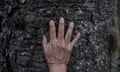 Detail of the hand on the trunk of a tree