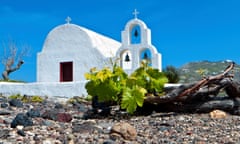 Traditional vineyard at the Cyclades in Greece<br>Grape field at Santorini of the Cyclades islands in Greece.