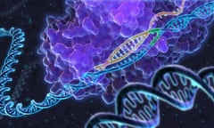 Illustration of genome editing