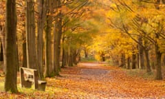 Beacon Hill country park, the National Forest, Leicestershire