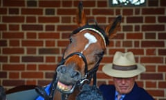 John Gosden helps prepare Enable for a race in the pre-parade saddling area.