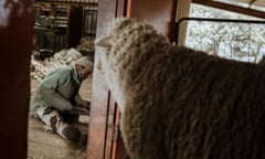 A shearer in Semonkong, Lesotho.