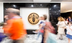 Food and Agriculture Organization logo on board with blurred people moving in front of it