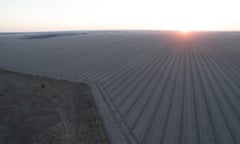 Land cleared for cropping outside Moree