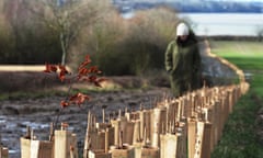 Planting hedgerows at Market Field