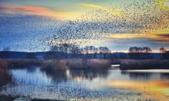 Ham Wall RSPB Nature Reserve Somerset<br>S2G4KG Ham Wall RSPB Nature Reserve Somerset