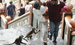 Tourists try to avoid the advances of two long-tailed macaque monkey as they climb the steps at Batu Caves.