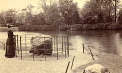 Many of the rocks were put on display in public parks, with some raised up on plinths or protected by fences