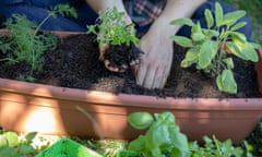 Woman gardening