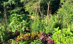 Midsummer allotment for July 7