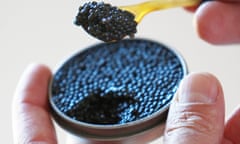 Fresh caviar is seen at France's caviar fish farm Le Moulin de Cassadote in Biganos, south western France, February 24, 2010. Some 70,000 sturgeons of Siberian origin are raised at the fish farm which produced nearly a ton of caviar in 2009.     REUTERS/R<br>GT3CRD Fresh caviar is seen at France's caviar fish farm Le Moulin de Cassadote in Biganos, south western France, February 24, 2010. Some 70,000 sturgeons of Siberian origin are raised at the fish farm which produced nearly a ton of caviar in 2009.     REUTERS/Regis Duvignau (FRANCE - Tags: AGRICULTURE FOOD)