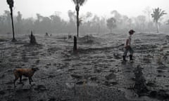 A Brazilian farmer and a dog walk through a burned area of the Amazon rainforest, near Porto Velho, Rondonia state, Brazil.