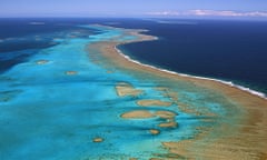 New Caledonia coral reef