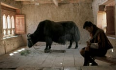 ‘You feed him according to how much dung you want’ … Lunana: A Yak in the Classroom.