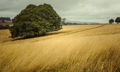 The countryside near Petworth, West Sussex