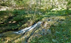 A waterfall in Gillfield Wood.