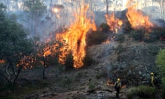 Reign of fire … Alpine National Park in Victoria, Australia, January 2020.